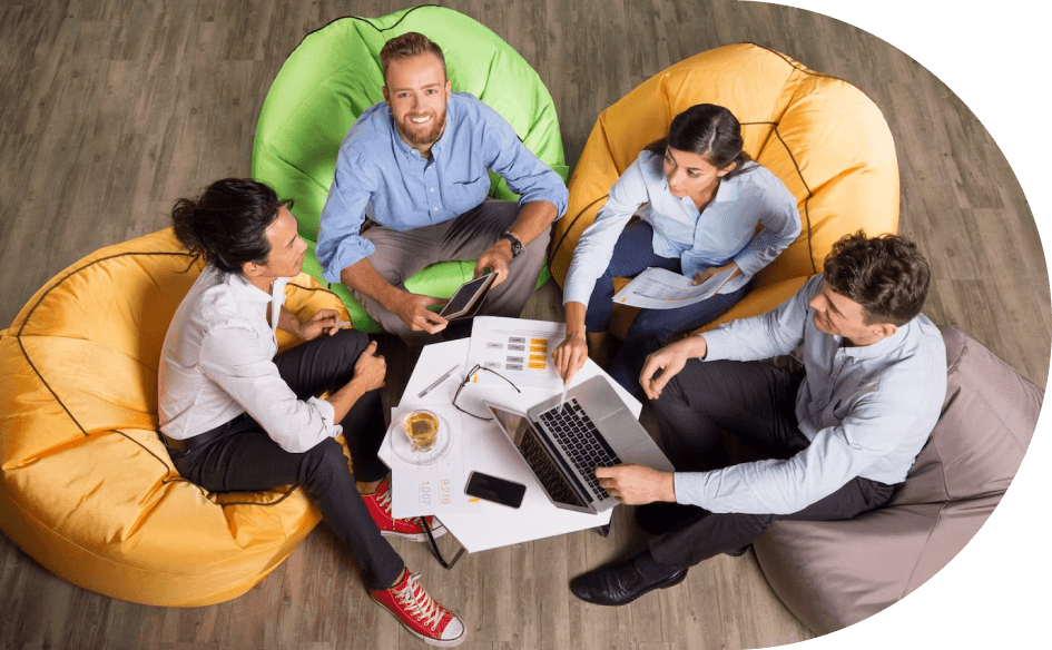 Meet the Turtles Bears